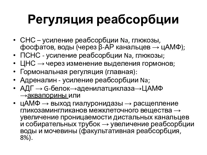 Регуляция реабсорбции СНС – усиление реабсорбции Na, глюкозы, фосфатов, воды (через