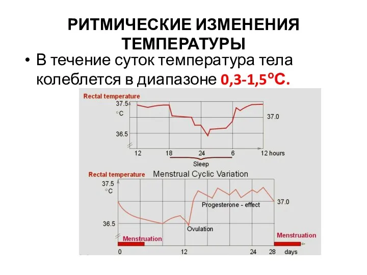 РИТМИЧЕСКИЕ ИЗМЕНЕНИЯ ТЕМПЕРАТУРЫ В течение суток температура тела колеблется в диапазоне 0,3-1,5оС.