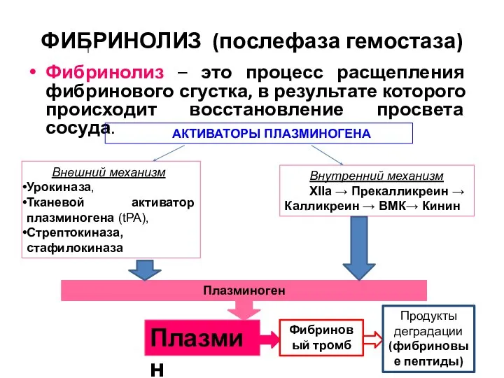 ФИБРИНОЛИЗ (послефаза гемостаза) Фибринолиз – это процесс расщепления фибринового сгустка, в