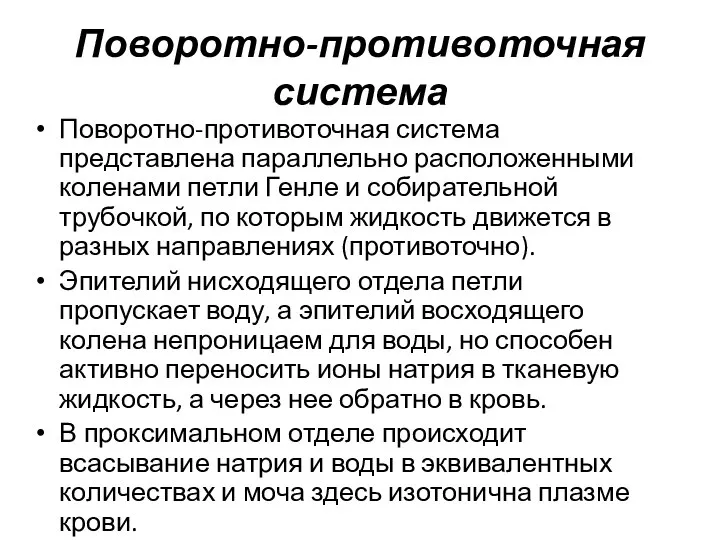 Поворотно-противоточная система Поворотно-противоточная система представлена параллельно расположенными коленами петли Генле и