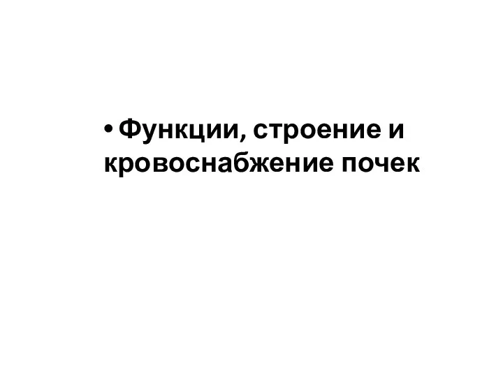 Функции, строение и кровоснабжение почек