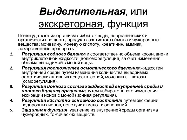 Выделительная, или экскреторная, функция Почки удаляют из организма избыток воды, неорганических