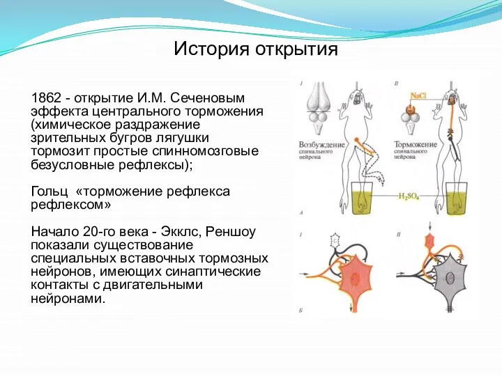 История открытия 1862 - открытие И.М. Сеченовым эффекта центрального торможения (химическое