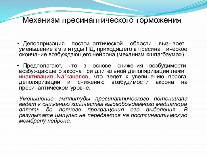 Механизм пресинаптического торможения Деполяризация постсинаптической области вызывает уменьшение амплитуды ПД, приходящего