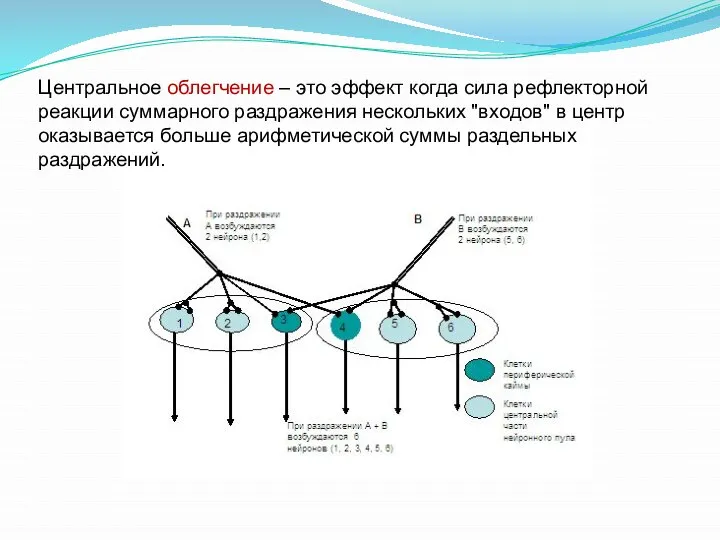 Центральное облегчение – это эффект когда сила рефлекторной реакции суммарного раздражения