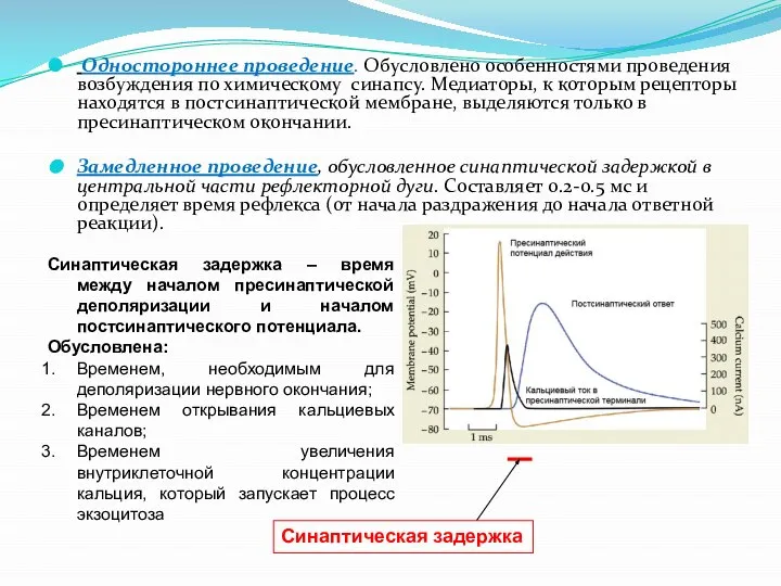 Одностороннее проведение. Обусловлено особенностями проведения возбуждения по химическому синапсу. Медиаторы, к