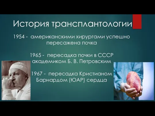 1954 - американскими хирургами успешно пересажена почка 1965 - пересадка почки