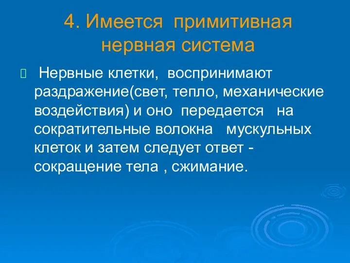 4. Имеется примитивная нервная система Нервные клетки, воспринимают раздражение(свет, тепло, механические