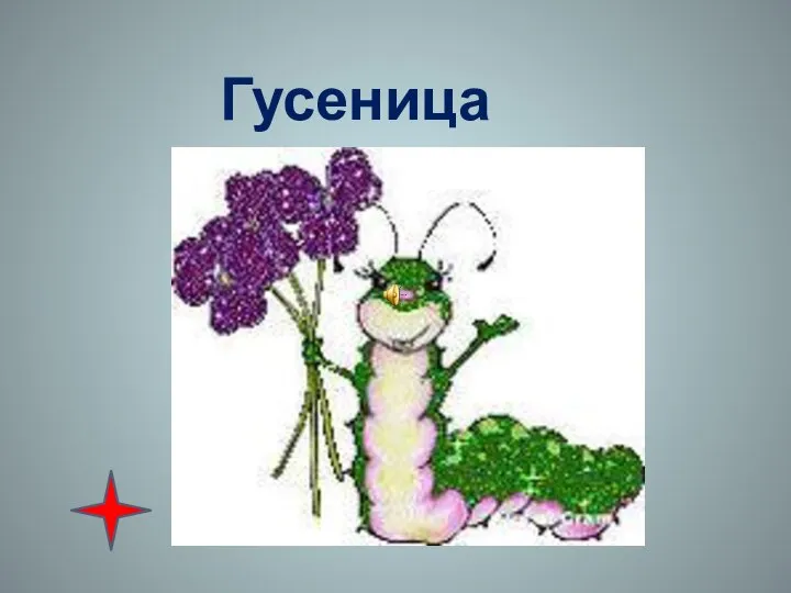 Гусеница