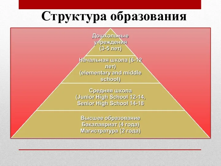 Структура образования