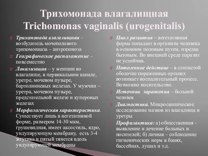 Трихомонада влагалищная – возбудитель мочеполового трихомониаза – антропоноза Географическое расположение –