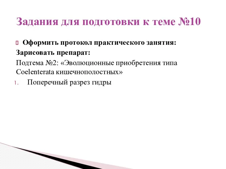 Оформить протокол практического занятия: Зарисовать препарат: Подтема №2: «Эволюционные приобретения типа