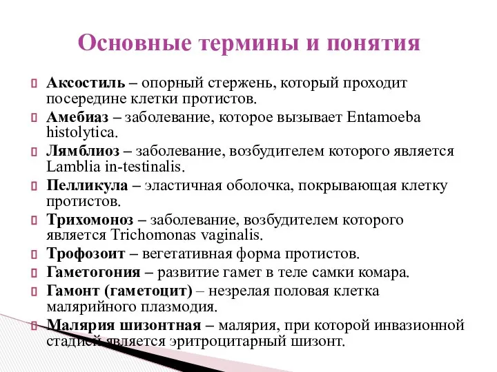 Аксостиль – опорный стержень, который проходит посередине клетки протистов. Амебиаз –