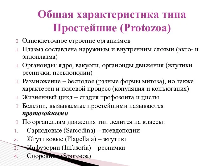 Одноклеточное строение организмов Плазма составлена наружным и внутренним слоями (экто- и