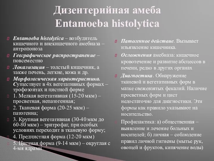 Entamoeba histolytica – возбудитель кишечного и внекишечного амебиаза – антропоноза Географическое