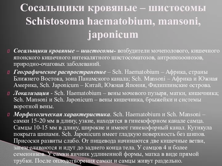 Сосальщики кровяные – шистосомы- возбудители мочеполового, кишечного японского кишечного интекалятного шистосоматозов,