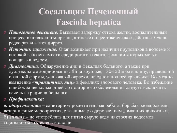 Патогенное действие. Вызывает задержку оттока желчи, воспалительный процесс в пораженном органе,