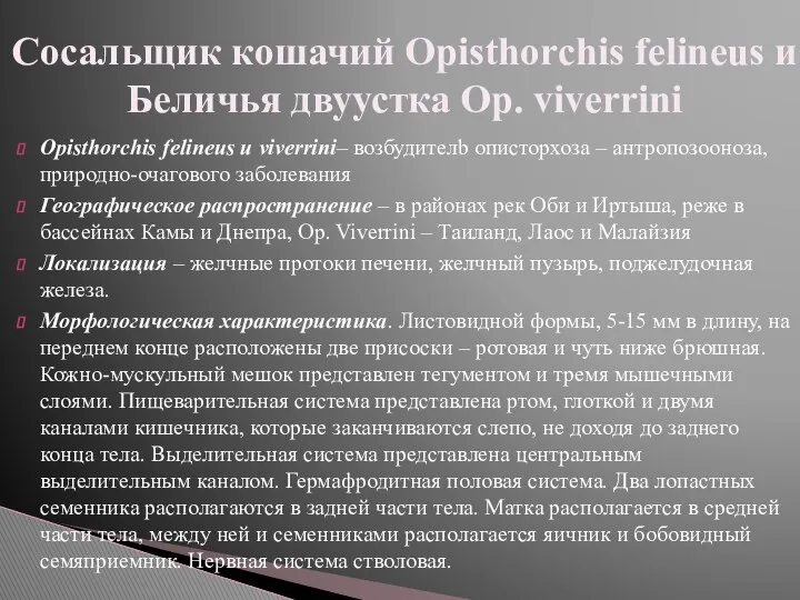 Opisthorchis felineus и viverrini– возбудителb описторхоза – антропозооноза, природно-очагового заболевания Географическое