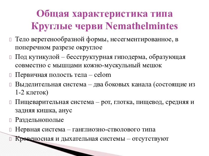 Тело веретенообразной формы, несегментированное, в поперечном разрезе округлое Под кутикулой –