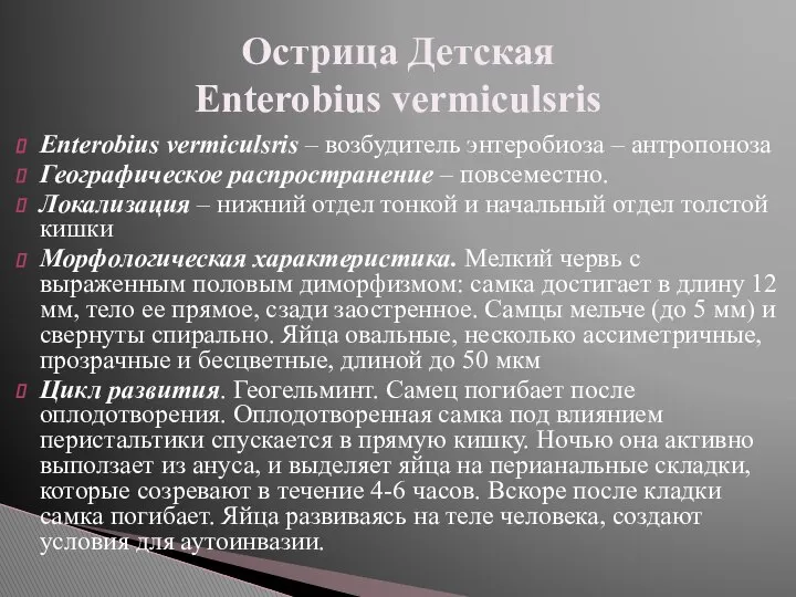 Enterobius vermiculsris – возбудитель энтеробиоза – антропоноза Географическое распространение – повсеместно.