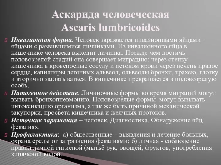 Инвазионная форма. Человек заражается инвазионными яйцами – яйцами с развившимися личинками.