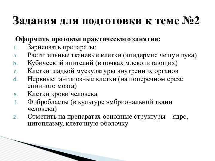 Оформить протокол практического занятия: Зарисовать препараты: Растительные тканевые клетки (эпидермис чешуи