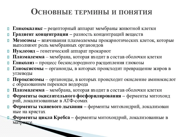 Гликокаликс – рецепторный аппарат мембраны животной клетки Градиент концентрации – разность