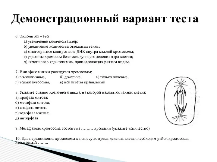 6. Эндомитоз – это: а) увеличение количества ядер; б) увеличение количества