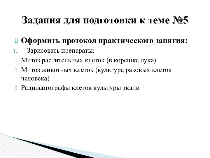 Оформить протокол практического занятия: Зарисовать препараты: Митоз растительных клеток (в корешке