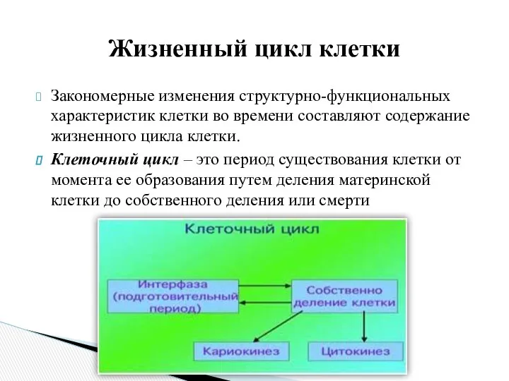 Закономерные изменения структурно-функциональных характеристик клетки во времени составляют содержание жизненного цикла