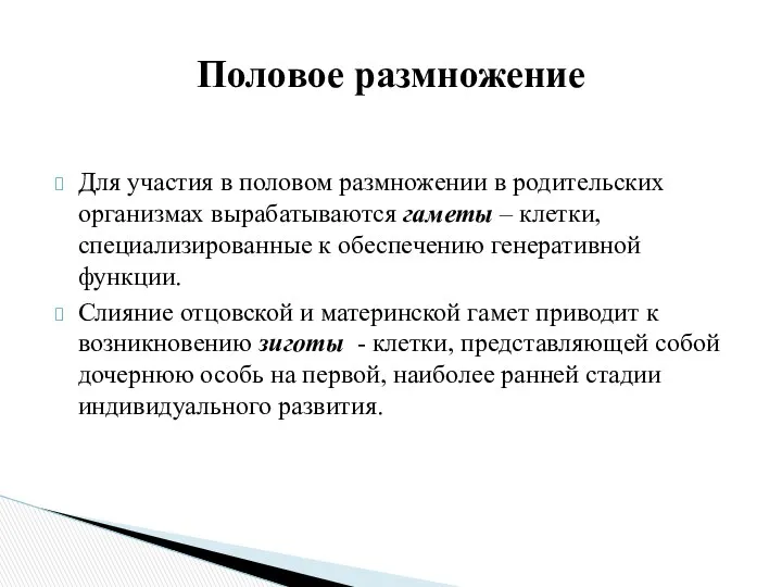 Для участия в половом размножении в родительских организмах вырабатываются гаметы –