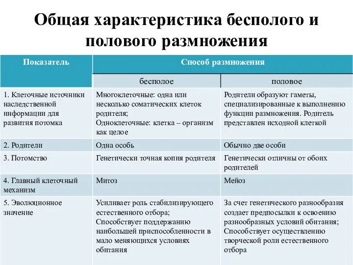 Общая характеристика бесполого и полового размножения