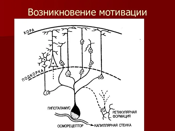 Возникновение мотивации