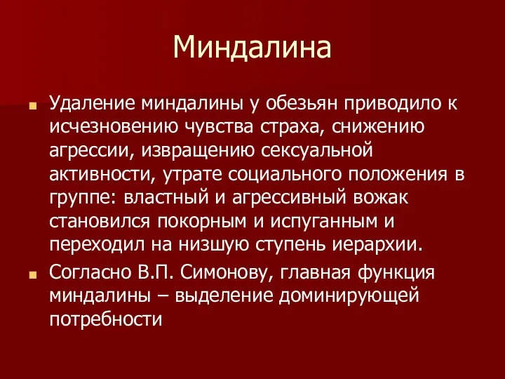 Миндалина Удаление миндалины у обезьян приводило к исчезновению чувства страха, снижению