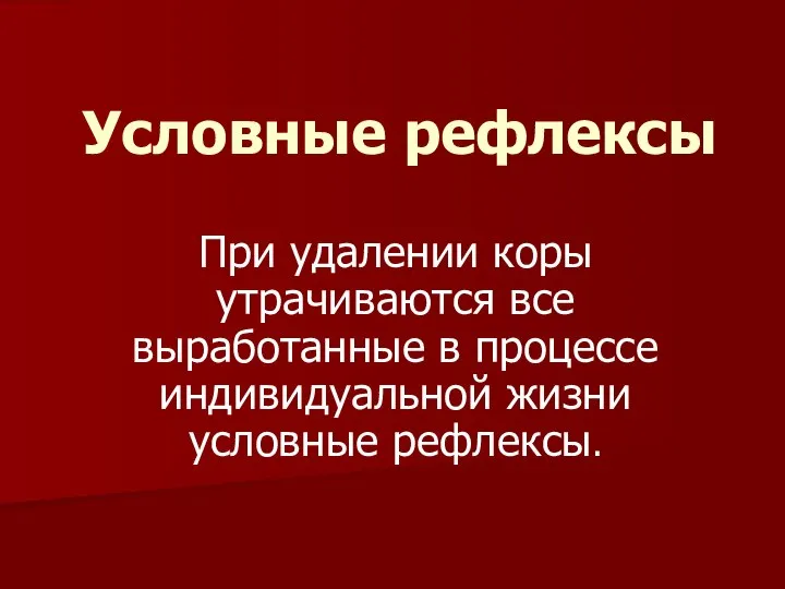 Условные рефлексы При удалении коры утрачиваются все выработанные в процессе индивидуальной жизни условные рефлексы.