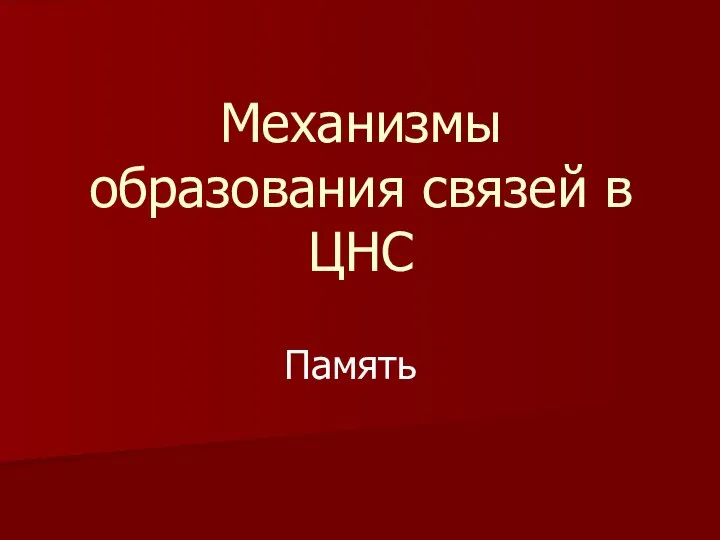 Механизмы образования связей в ЦНС Память