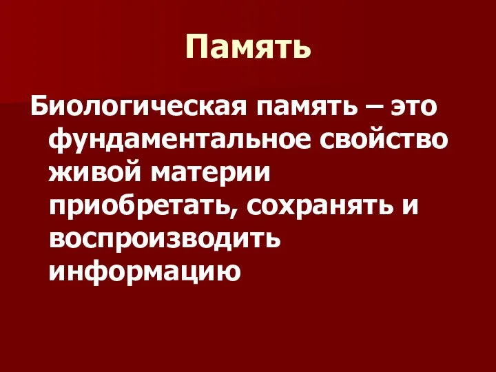 Память Биологическая память – это фундаментальное свойство живой материи приобретать, сохранять и воспроизводить информацию