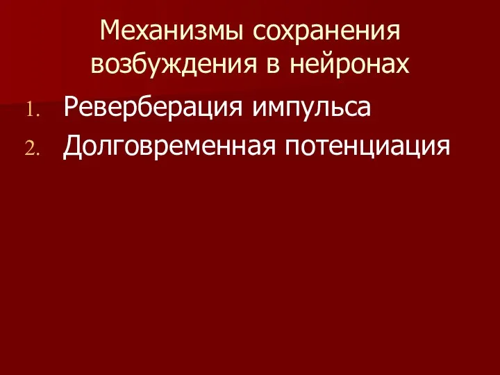 Механизмы сохранения возбуждения в нейронах Реверберация импульса Долговременная потенциация