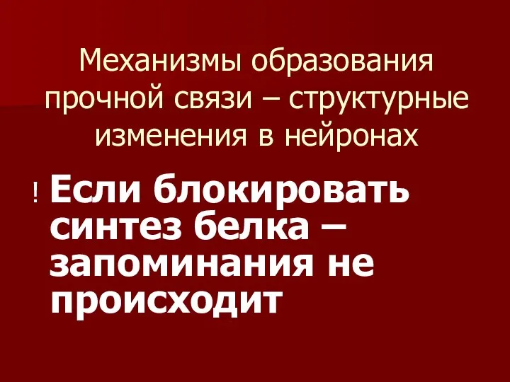 Механизмы образования прочной связи – структурные изменения в нейронах ! Если