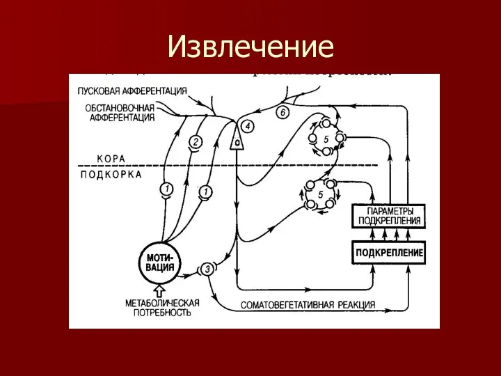 Извлечение