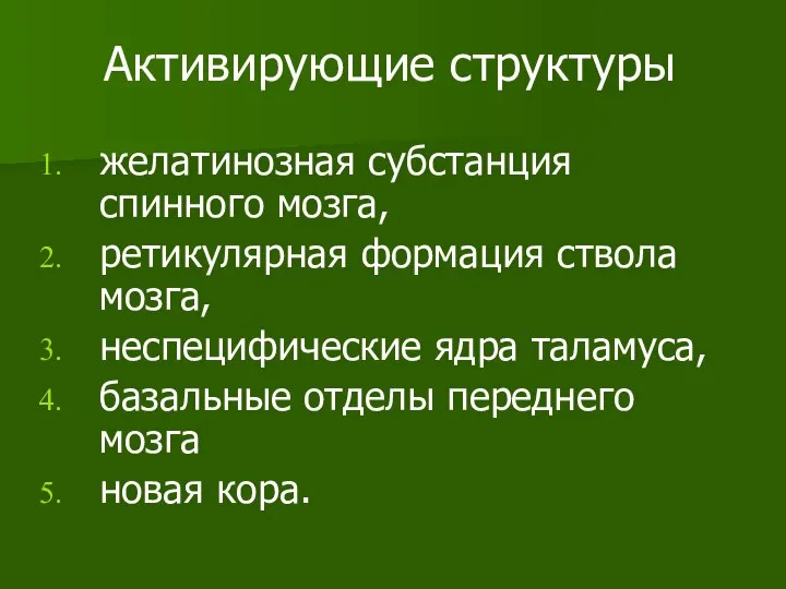 Активирующие структуры желатинозная субстанция спинного мозга, ретикулярная формация ствола мозга, неспецифические