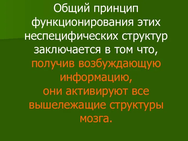 Общий принцип функционирования этих неспецифических структур заключается в том что, получив