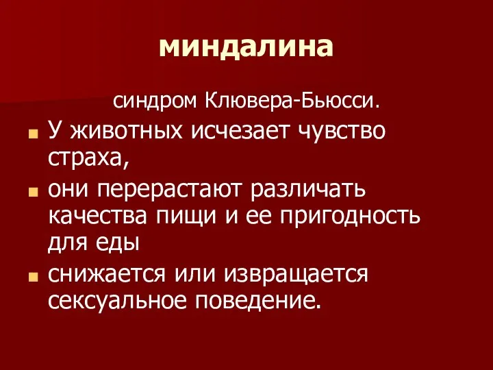 миндалина синдром Клювера-Бьюсси. У животных исчезает чувство страха, они перерастают различать