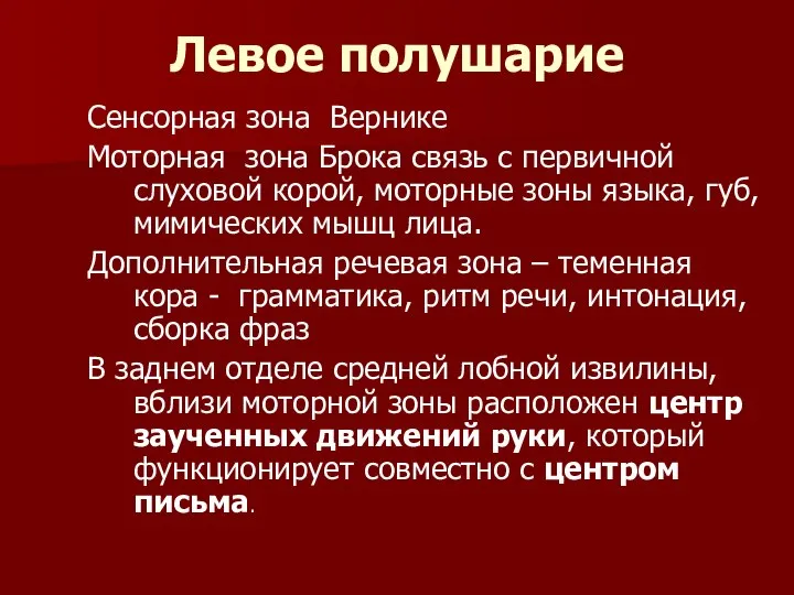 Левое полушарие Сенсорная зона Вернике Моторная зона Брока связь с первичной