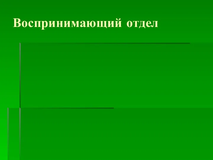 Воспринимающий отдел