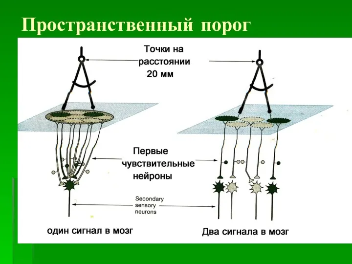 Пространственный порог