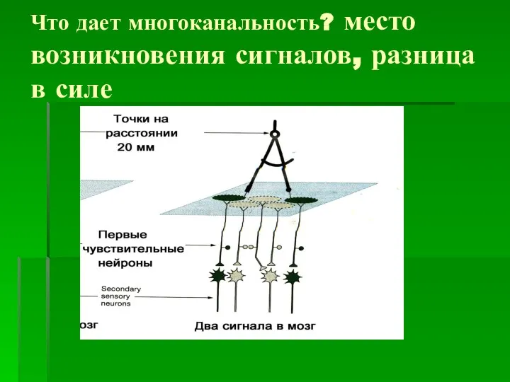 Что дает многоканальность? место возникновения сигналов, разница в силе