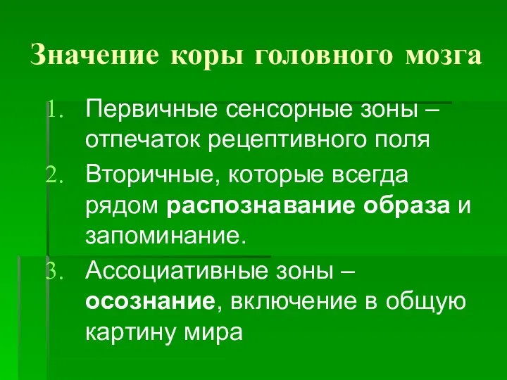 Значение коры головного мозга Первичные сенсорные зоны – отпечаток рецептивного поля