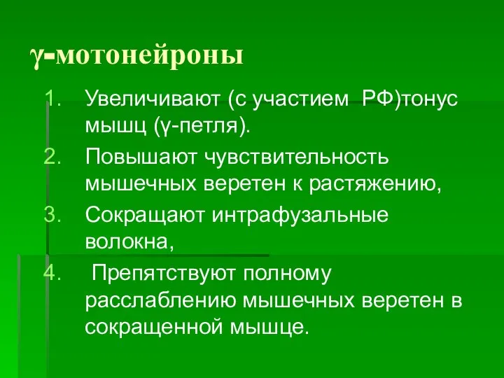 γ-мотонейроны Увеличивают (с участием РФ)тонус мышц (γ-петля). Повышают чувствительность мышечных веретен