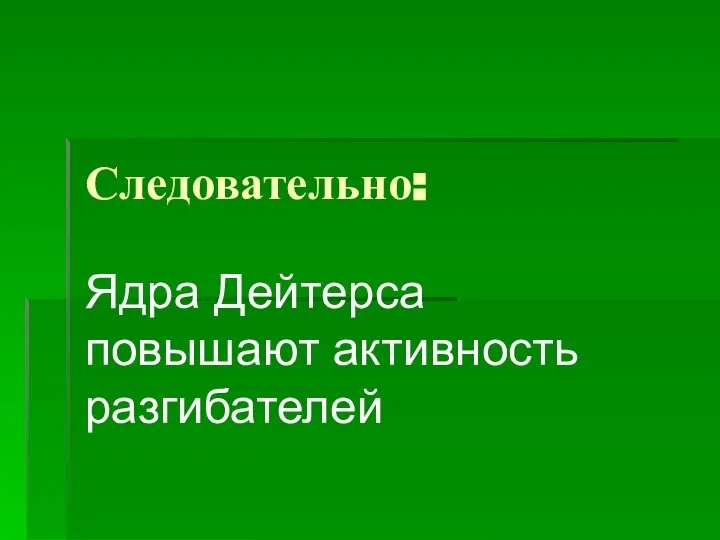 Следовательно: Ядра Дейтерса повышают активность разгибателей